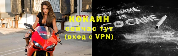 крисы Бронницы