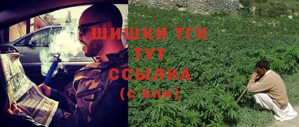 крисы Бронницы