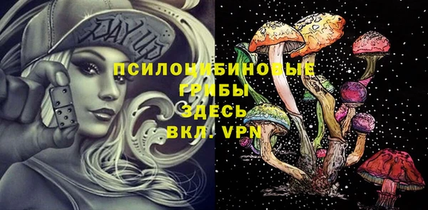 не бодяженный Бородино