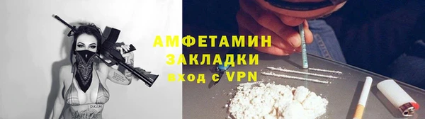 не бодяженный Бородино