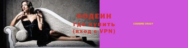 крисы Бронницы