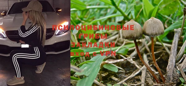 крисы Бронницы