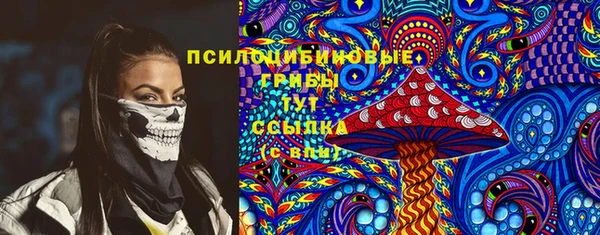 крисы Бронницы