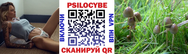 наркотики  Бронницы  Галлюциногенные грибы GOLDEN TEACHER 